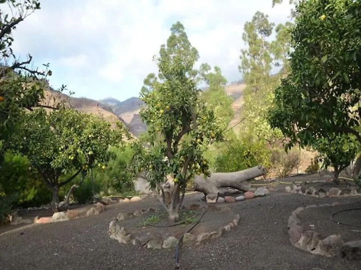 Apartmán Casa Colonia Mogán